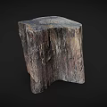 Arbor Tree Stump Featuring Natural Wooden Surface Texture and Rugged Brown Look