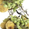 White Bowl Filled With Fresh Green Grapes And Yellow Pears With Leaves