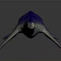 Realistic 3D Model of Long Neck Marine Reptile Plesiosaur With Blue Body