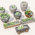 Garden Courtyard Decorative Flower Pots With Various Green Plants And Pink Flowers