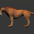 Saber-toothed Tiger 3D Model With Orange Red Long Saber Teeth Standing On Dark Background