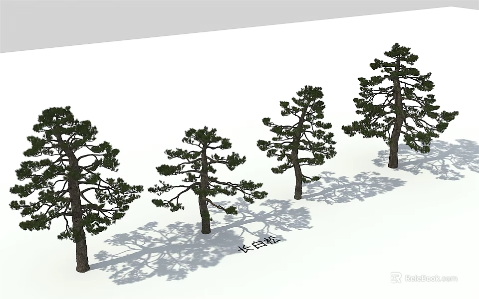 Tall Trees With Green Foliage And Shadows Arranged In A Row Outdoor 3d model 