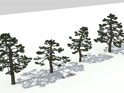 Tall Trees With Green Foliage And Shadows Arranged In A Row Outdoor 3d model