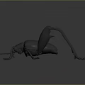Black Insect Metal Sculpture With Detailed Artistic Design And Lifelike Features