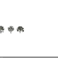 Three Arbor Trees With Lush Green Leaves And Brown Trunks On Black Background