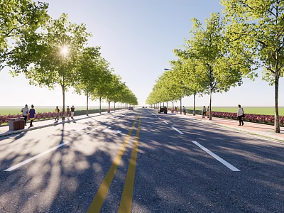Urban Municipal Road With Lined Trees Pedestrian Walkway And Clear Markings 3d model