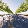 Urban Municipal Road With Lined Trees Pedestrian Walkway And Clear Markings