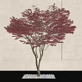 Modern Maple Tree Landscape Tree Maple Leaf 3d model