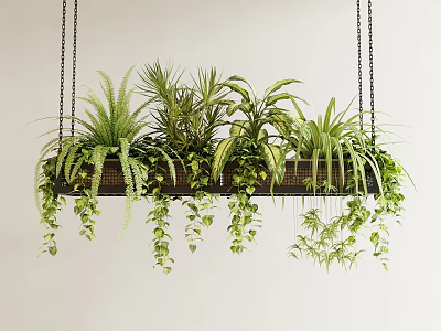 Lush Hanging Basket With Various Green Houseplants And Trailing Vines Indoor On White Wall 3d model