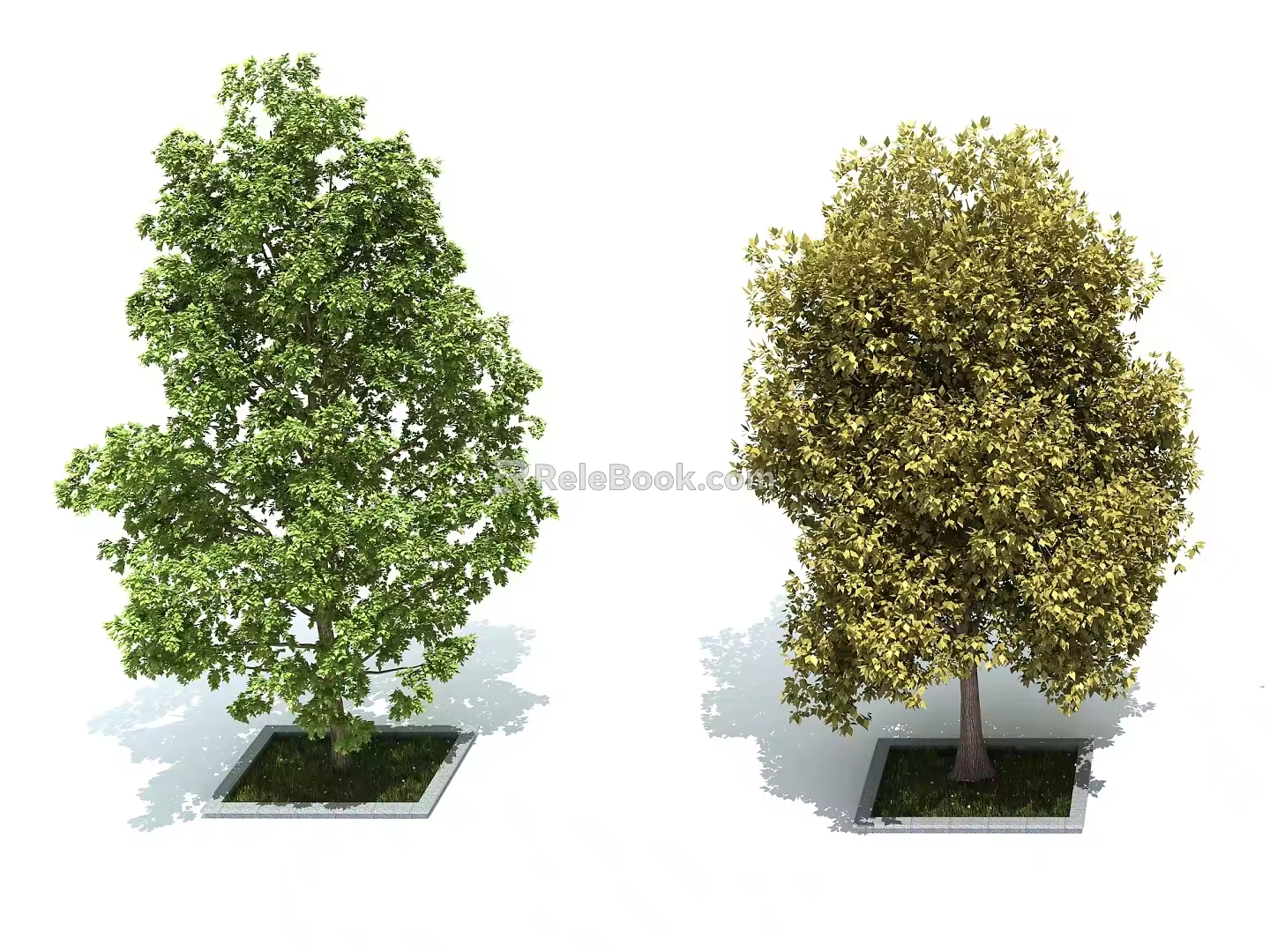 Trees Landscape Trees Street Trees Scene Material 3d model