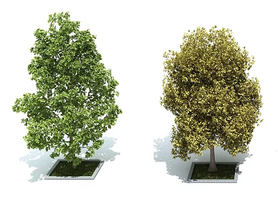 Trees Landscape Trees Street Trees Scene Material 3d model