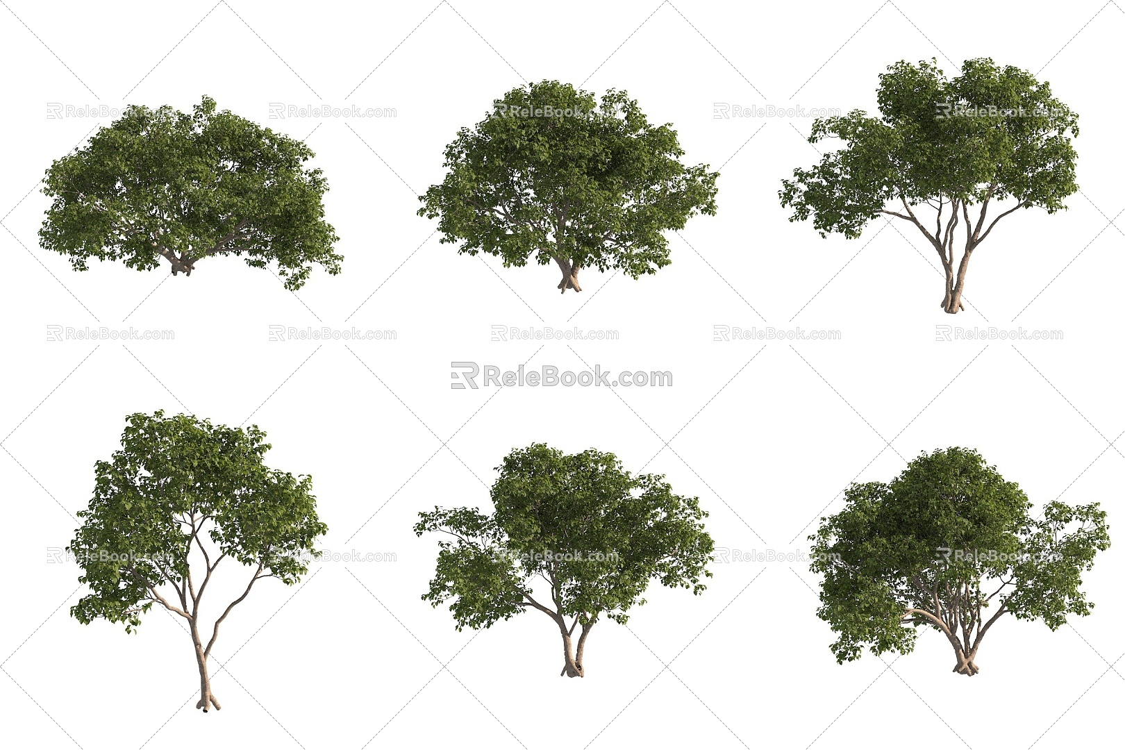 Winged apple tree landscape tree garden tree big tree 3d model