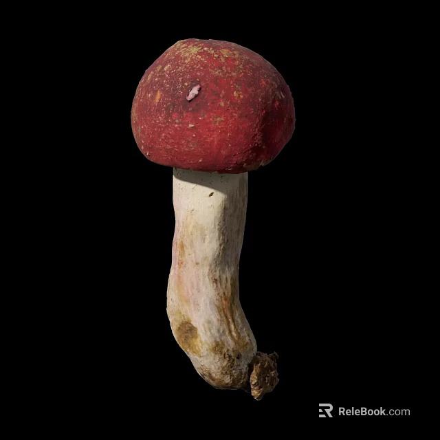 Healthy Fresh Red Cap White Stem Vegetable Mushroom Isolated On Black Background 3d model 