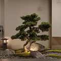 Bonsai Pine Tree And Moss Plant Combination With Stones Lanterns Stone Lion Statues In Garden