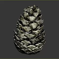Pinecone With Metallic Texture And Detailed Scales Natural Plant Structure Isolated On Dark Background
