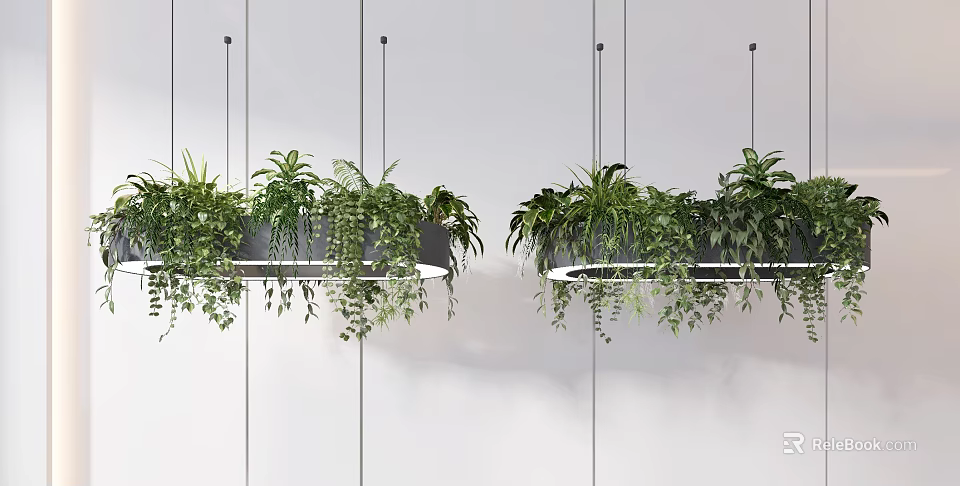 Modern Indoor Pendant Light Design With Green Hanging Plants And Lush Foliage Decor 3d model 