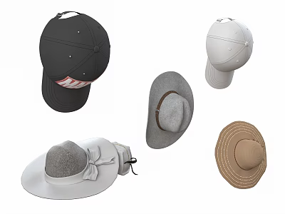 Fashionable Different Style Hats Collection With Baseball Caps Wide Brimmed Fedora And Straw Designs 3d model