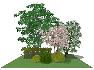 Modern Tree Landscape Tree Group 3d model Modern Tree Landscape Tree Group 3d model