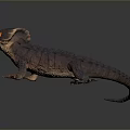 Spiked Back Reptile Lizard With Vibrant Orange Eyes And Detailed Skin