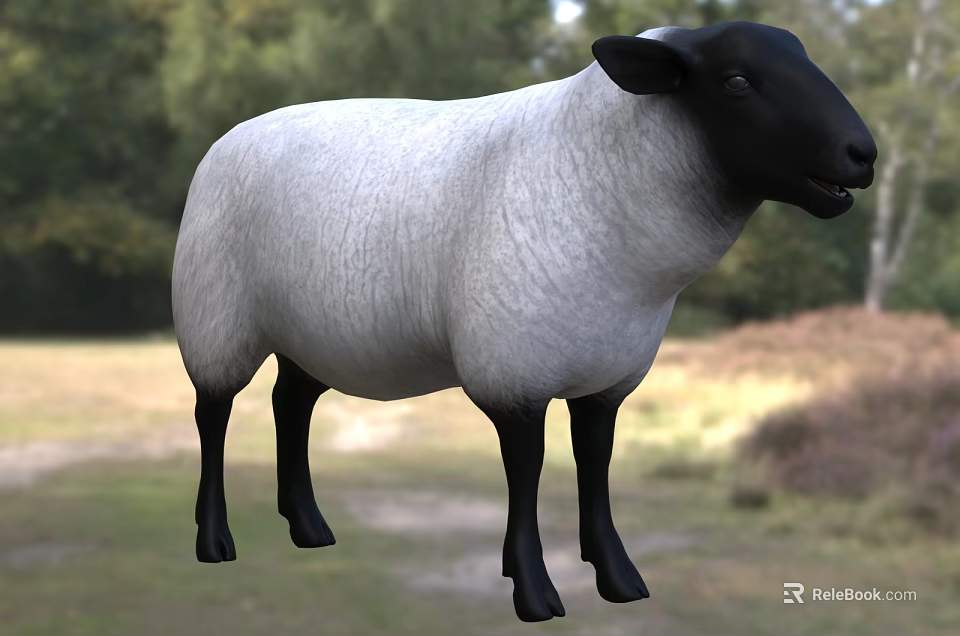Black And White Sheep Standing On Green Grassland With Trees Background 3d model 