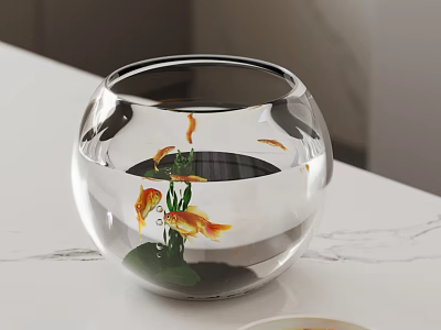 Transparent Spherical Fishbowl With Goldfish And Aquatic Plants On White Countertop Interior Decor 3d model