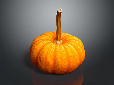 Bright Orange Textured Pumpkin Vegetable With Brown Stem On Gray Background Surface 3d model