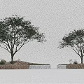 Modern Landscape Tree Pits Design With Trees Wooden Edges Grass And Stones