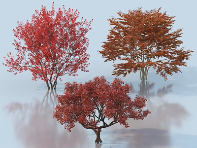Three trees with red and orange leaves showing reflections on calm water surface 3d model