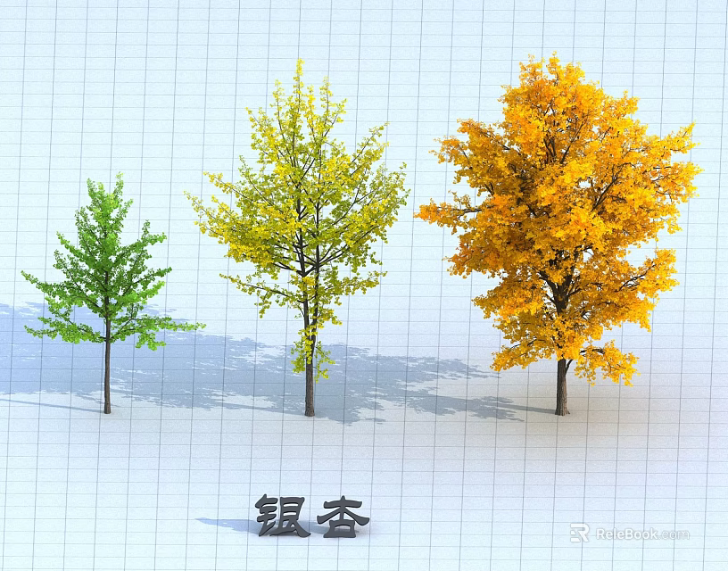 Ginkgo Arbor Showcase With Green Yellow And Golden Leaves In Different Growth Stages 3d model 