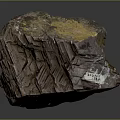 Natural Wood Stone With Rough Surface And Intricate Organic Textural Patterns