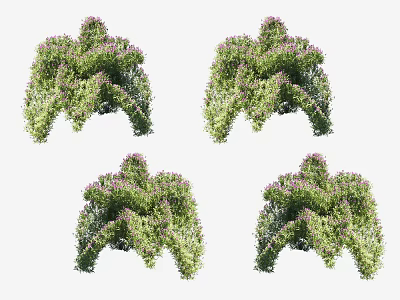 Ornamental Garden Shrubs With Lush Green Foliage And Purple Blooms 3d model