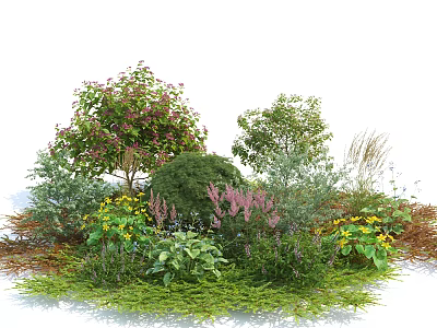Diverse Garden Shrubs With Purple Yellow Flowers And Lush Green Foliage 3d model