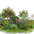 Diverse Garden Shrubs With Purple Yellow Flowers And Lush Green Foliage