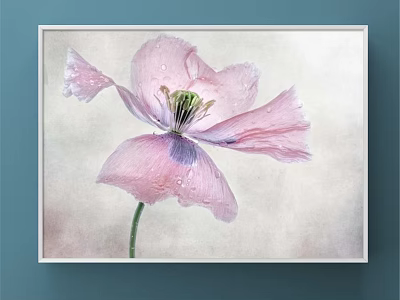 Pink Poppy Plant Painting Framed Artwork With Water Drops On Blue Wall 3d model