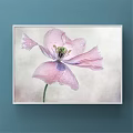 Pink Poppy Plant Painting Framed Artwork With Water Drops On Blue Wall