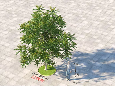 Third Grade Arbor With 5 Meters Height On Circular Green Lawn And Square Paved Ground 3d model
