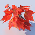 Vibrant Red Maple Leaves Bunch in Natural Autumn Foliage Decorative 3d model