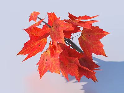 Vibrant Red Maple Leaves Bunch in Natural Autumn Foliage Decorative 3d model