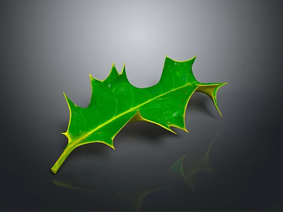 Vibrant Green Spiky Plant Leaf With Yellow Edges On Dark Background 3d model