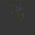Tall Green Plant With Fresh Purple Small Flowers On Gray Background