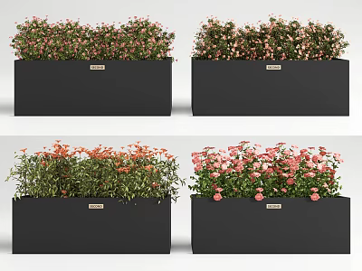 Black Rectangular Flower Planters with Colorful Pink and Orange Blooms for Outdoor Garden Decoration 3d model