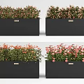 Black Rectangular Flower Planters with Colorful Pink and Orange Blooms for Outdoor Garden Decoration