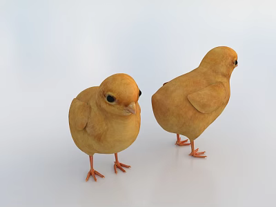Two Little Yellow Chicks Standing Side by Side on White Background 3d model