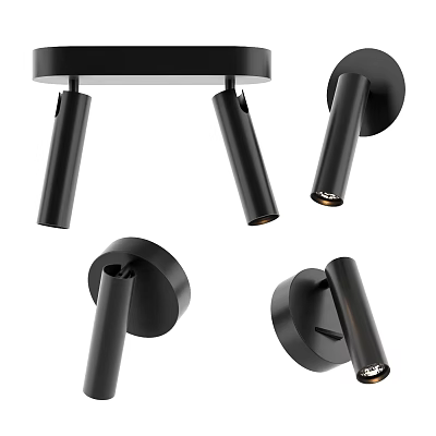 Modern Black Downlights And Spotlights For Contemporary Indoor Lighting Design 3d model