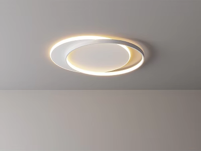 Modern Circular Ceiling Light With Sleek Minimalist Design And Soft Lighting 3d model
