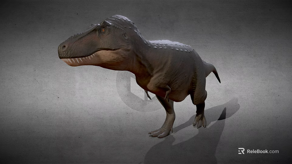 Realistic Tyrannosaurus Dinosaur 3D Model With Detailed Texture And Gray Background 3d model 