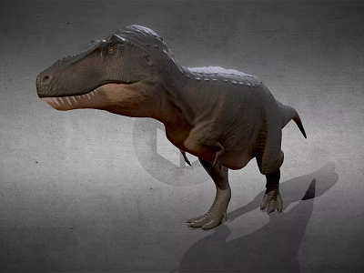 Realistic Tyrannosaurus Dinosaur 3D Model With Detailed Texture And Gray Background 3d model