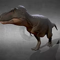 Realistic Tyrannosaurus Dinosaur 3D Model With Detailed Texture And Gray Background