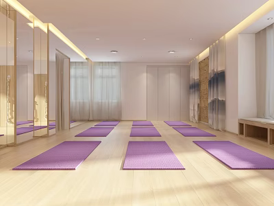 Spacious Yoga Studio With Purple Yoga Mats Wooden Floors Bright Lighting And Mirror Walls 3d model