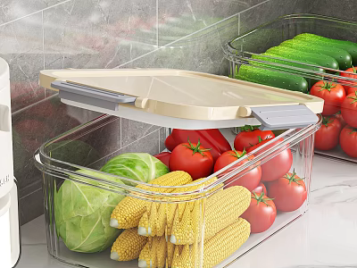 Organized Fresh Vegetables in Transparent Storage Containers with Lids on Kitchen Countertop 3d model